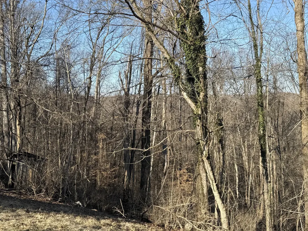 41 Reynolds Road Mckee KY 40447