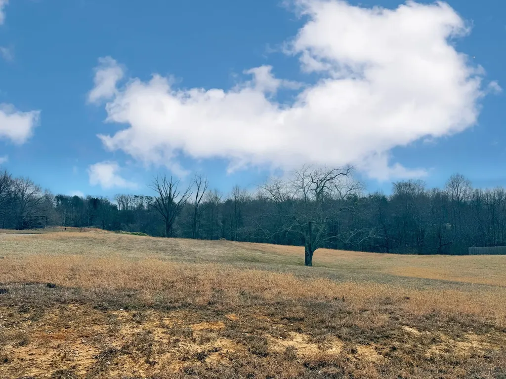 75 Morning Mist Drive Somerset KY 42501