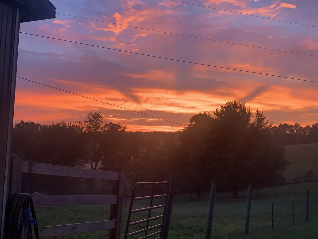 615 Igo Ridge Road Wellington KY 40387