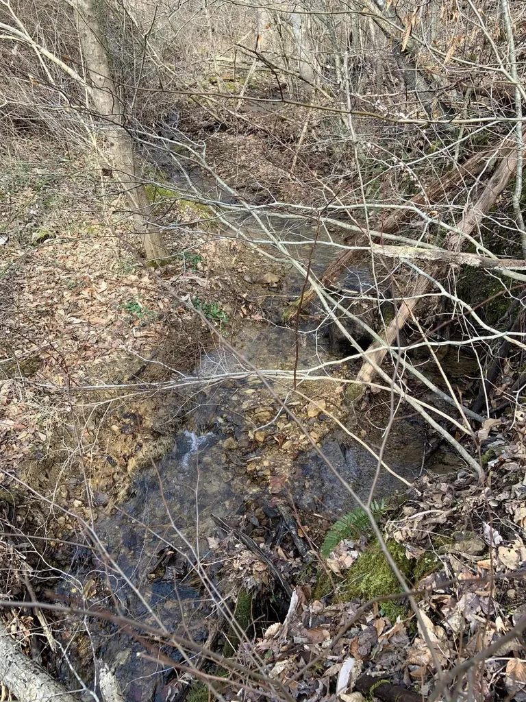 408 Highway 421 Mckee KY 40447