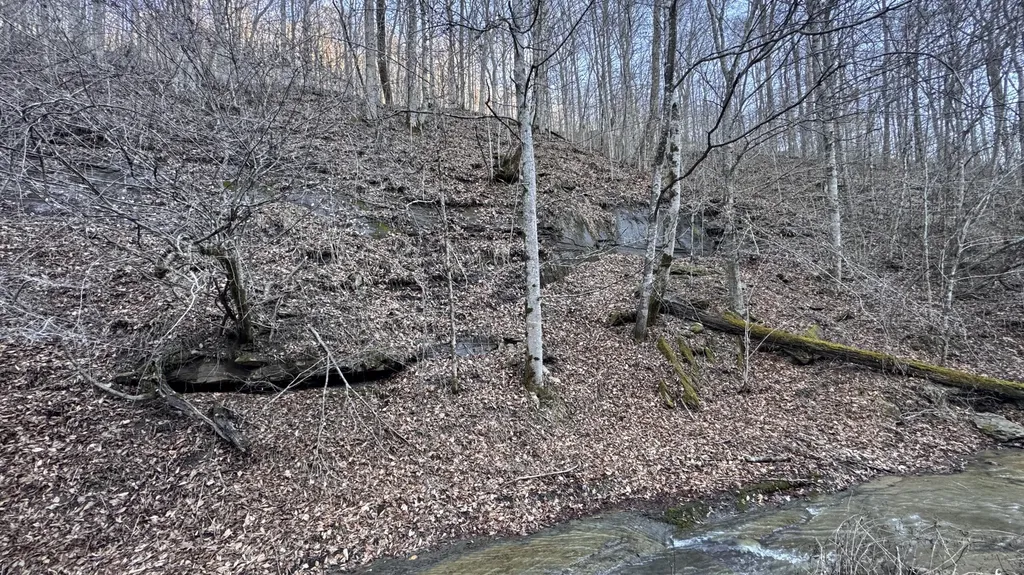 421 Wren Branch Road Oneida KY 40972