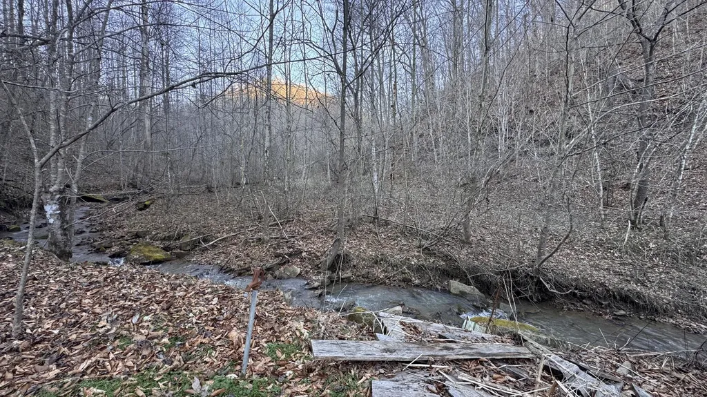 421 Wren Branch Road Oneida KY 40972