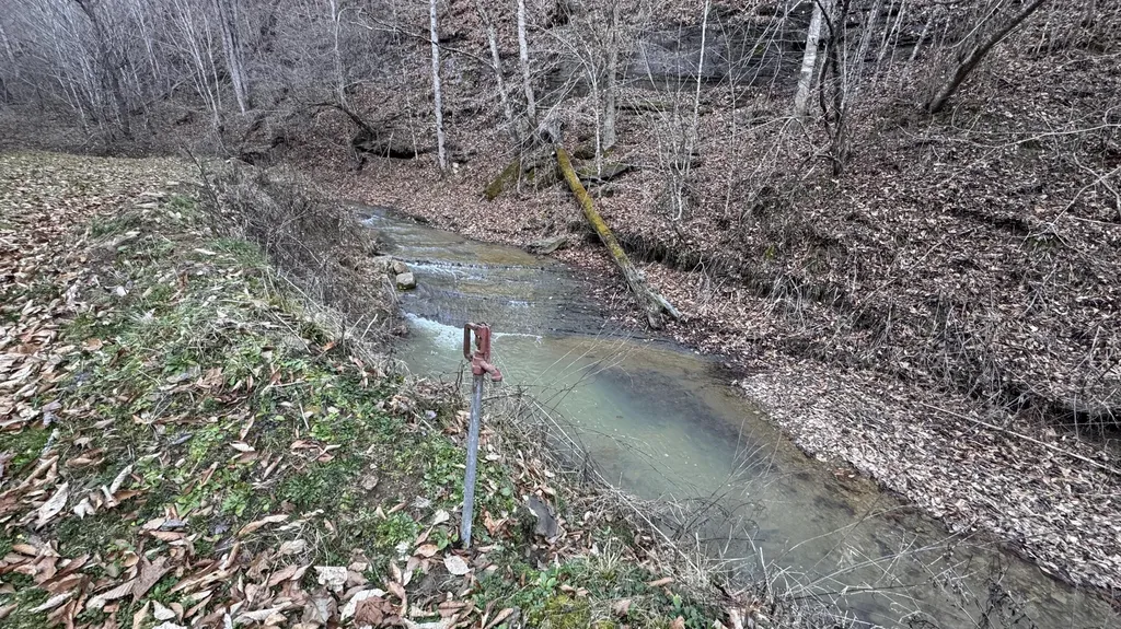 421 Wren Branch Road Oneida KY 40972