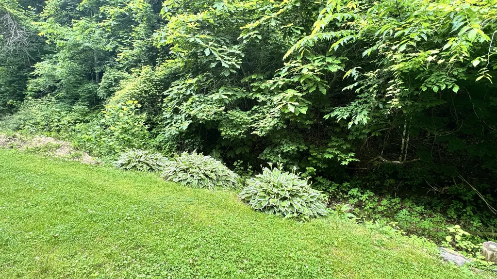 421 Wren Branch Road Oneida KY 40972