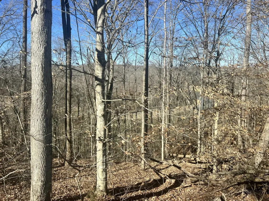 45 Shepperd Drive Nancy KY 42544