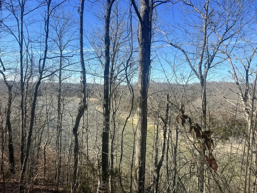 45 Shepperd Drive Nancy KY 42544