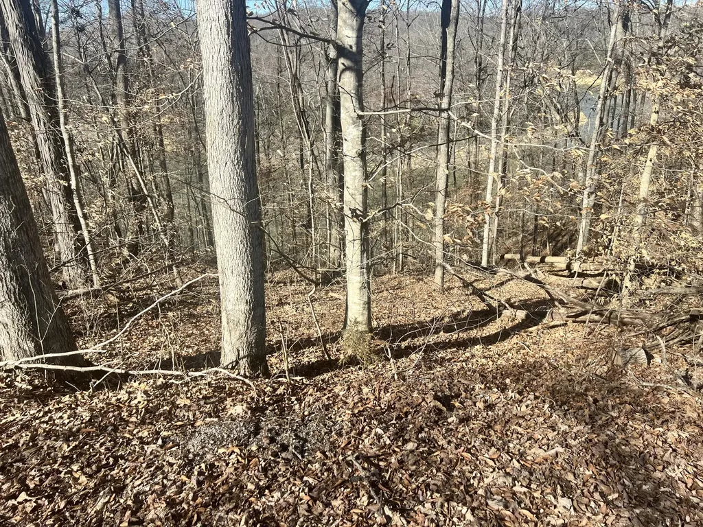45 Shepperd Drive Nancy KY 42544