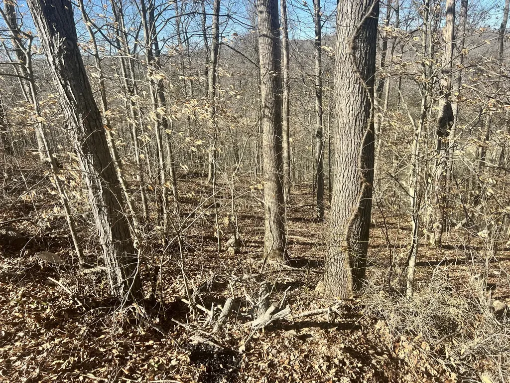 45 Shepperd Drive Nancy KY 42544