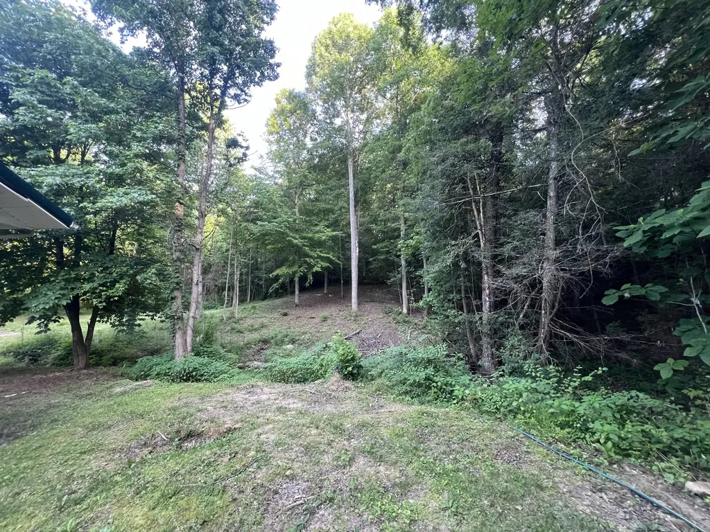 149 Buggs Lane London KY 40744