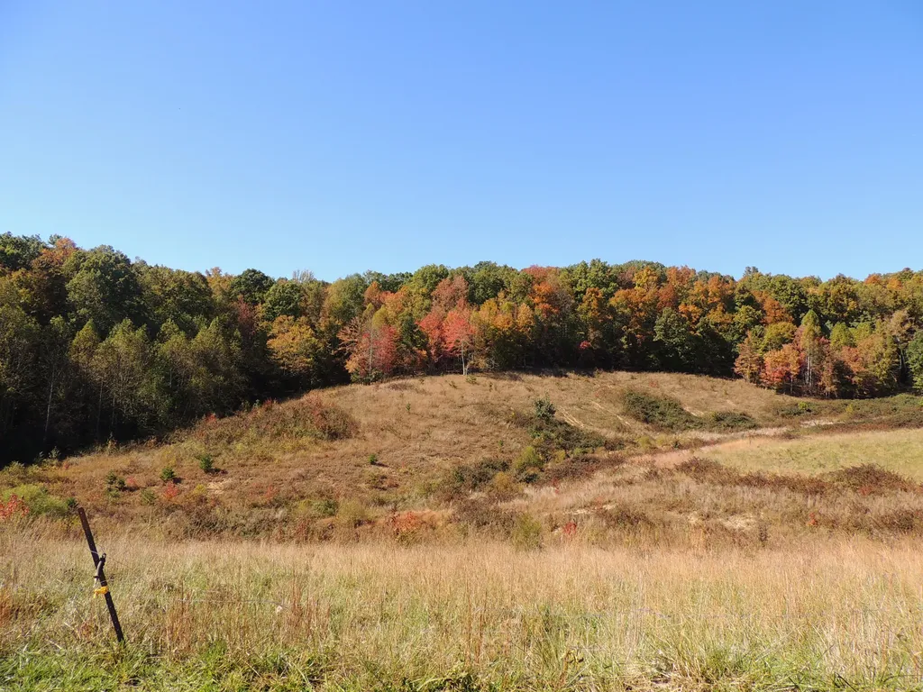 1260 Old Way Road London KY 40741