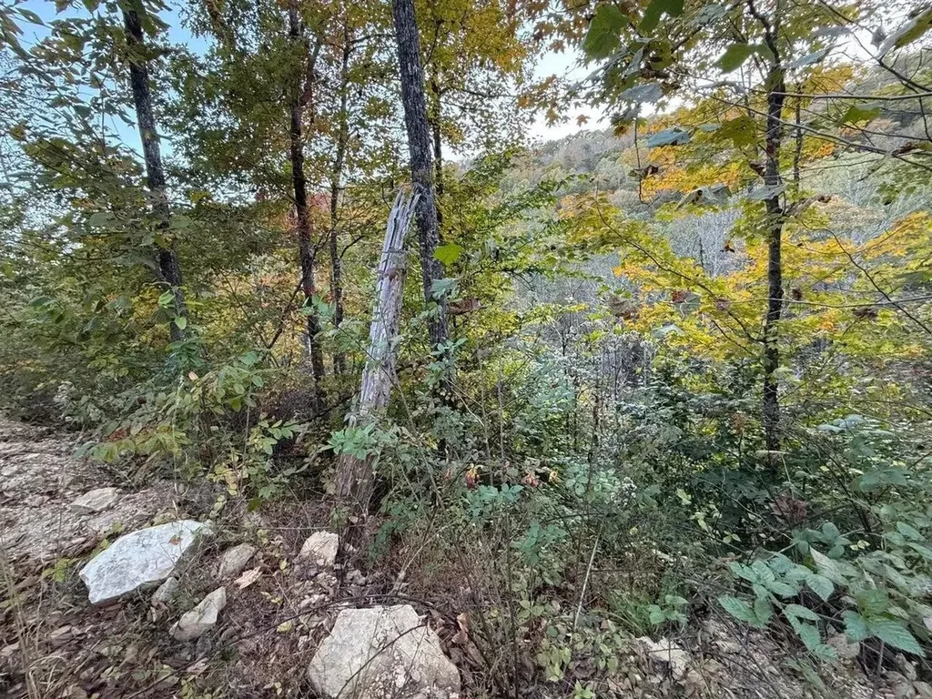 30 Highway 89 Livingston KY 40445