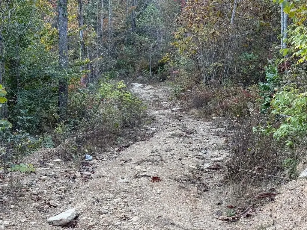 30 Highway 89 Livingston KY 40445