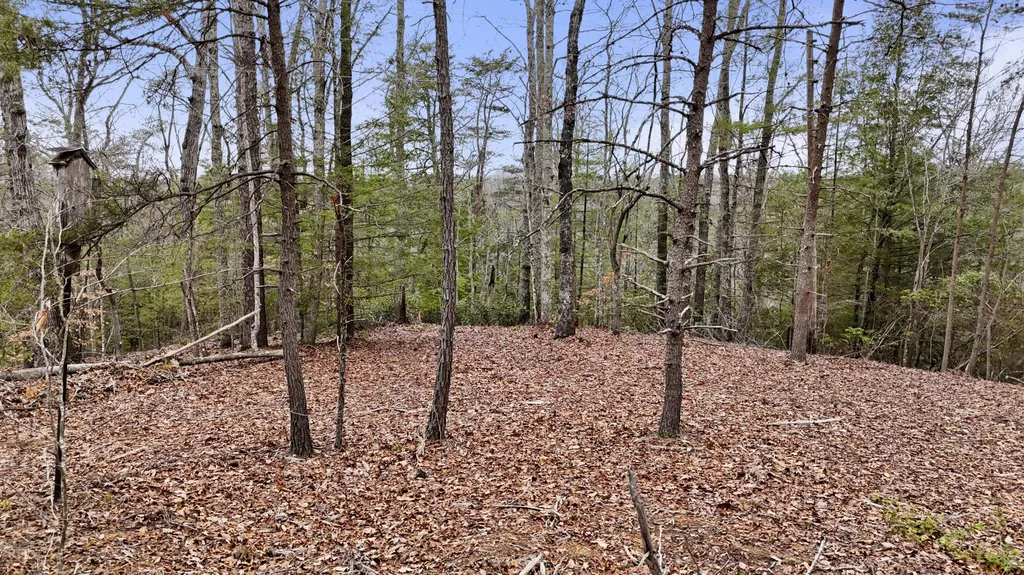 235 Eureka Road Zoe KY 41397