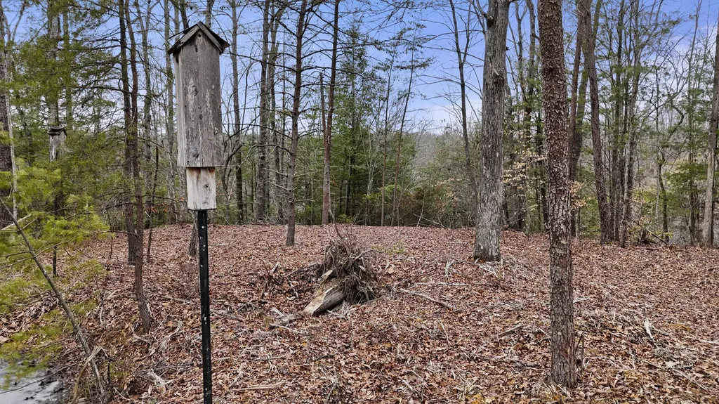 235 Eureka Road Zoe KY 41397