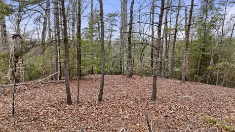 235 Eureka Road Zoe KY 41397