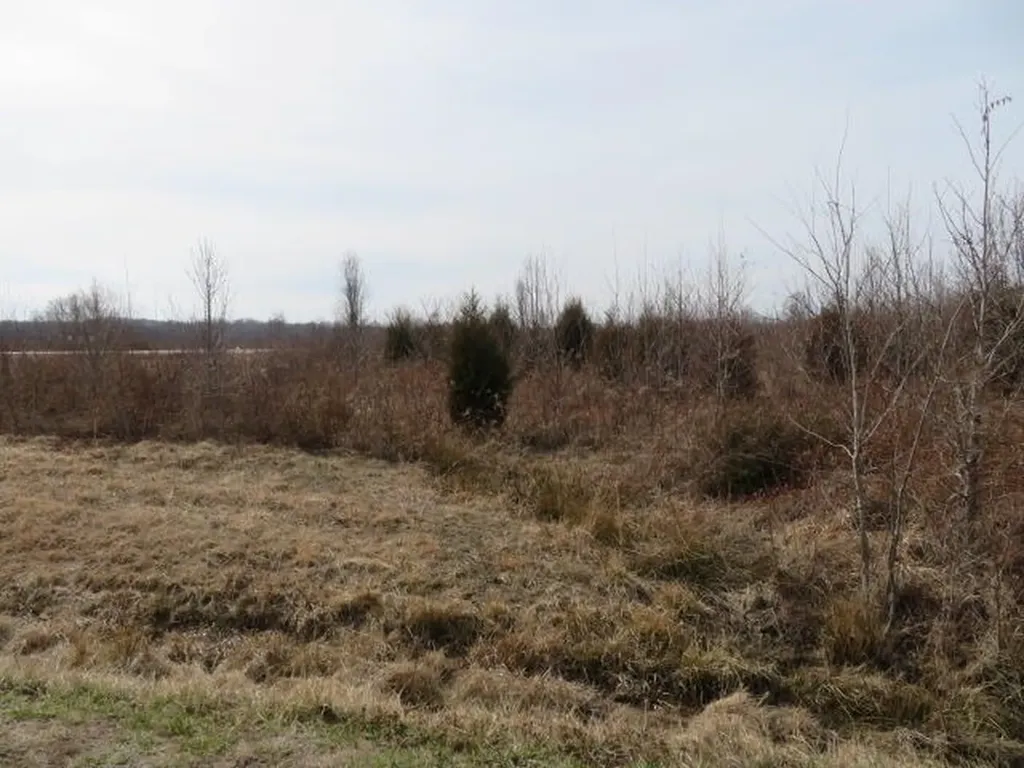 45 State Highway 1050 Jeffersonville KY 40337