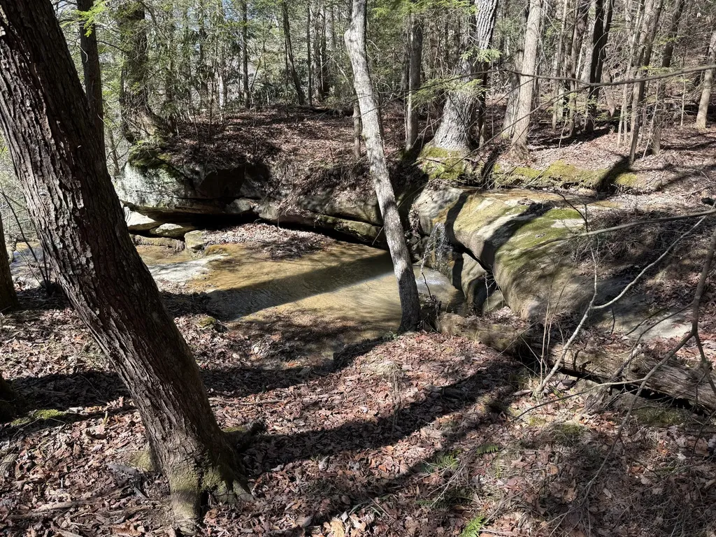 241 Nolan Road Frenchburg KY 40322