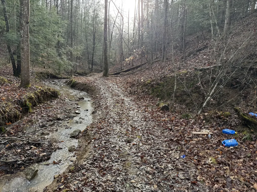 241 Nolan Road Frenchburg KY 40322
