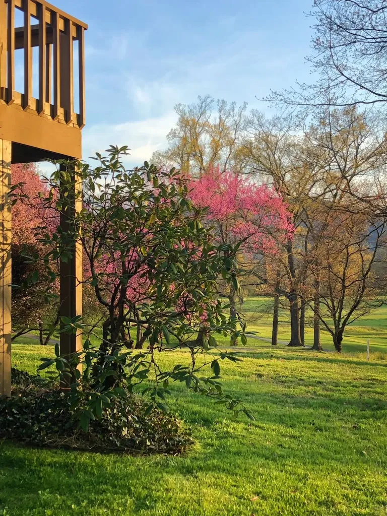 103 Kingsbury Woods Middlesboro KY 40965