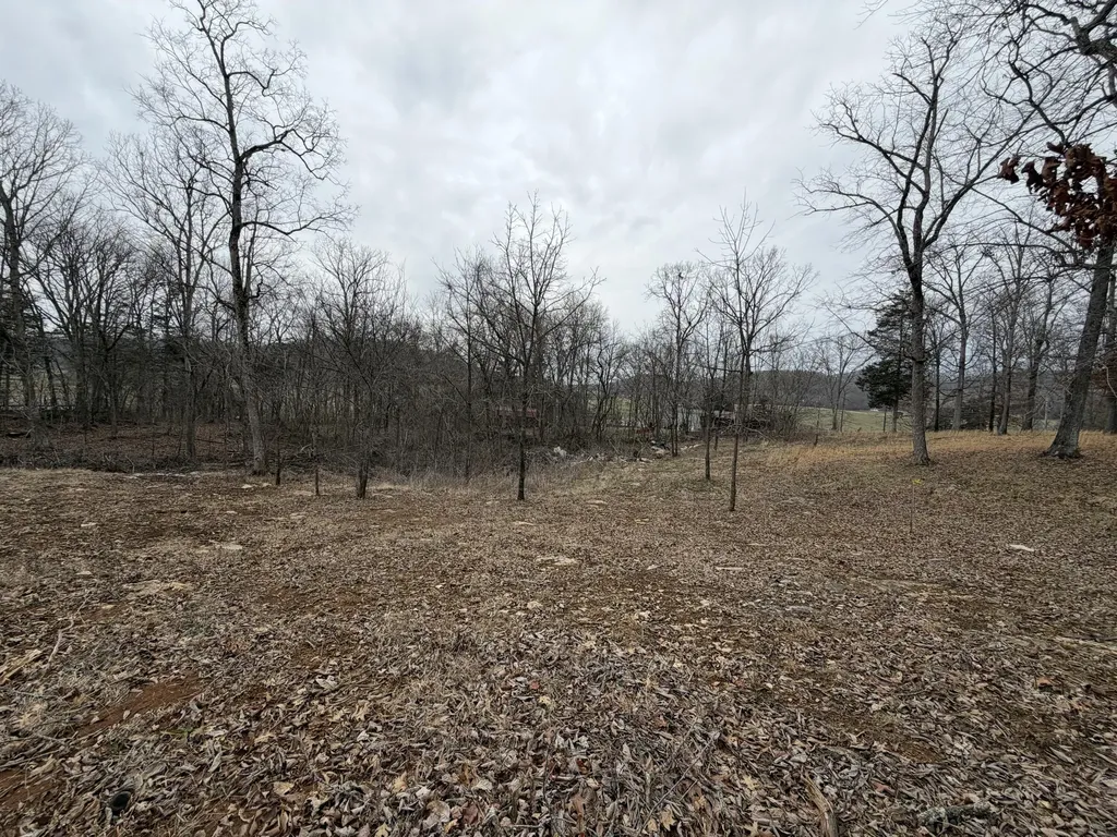 0 Abby Lane Mt Vernon KY 40456