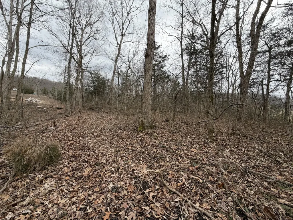 0 Abby Lane Mt Vernon KY 40456