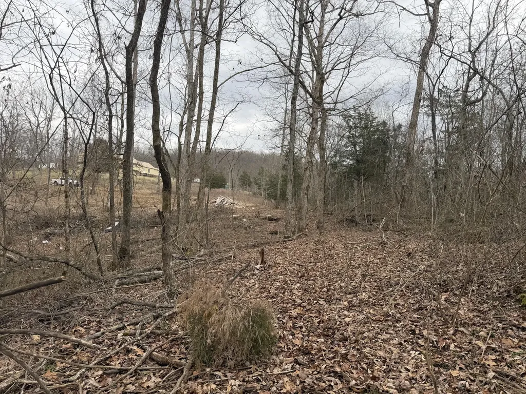 0 Abby Lane Mt Vernon KY 40456