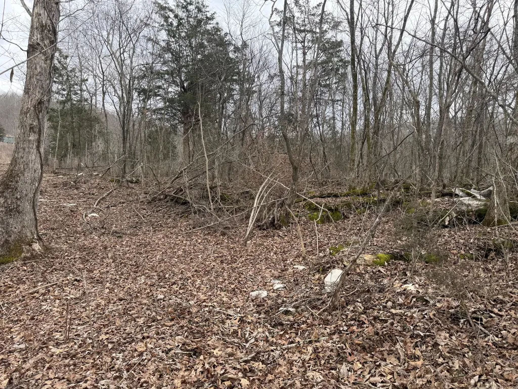 0 Abby Lane Mt Vernon KY 40456