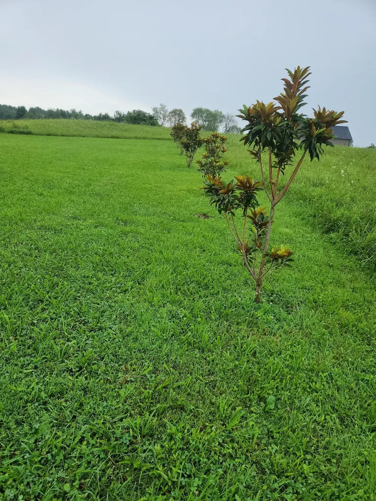 10 River Oaks Circle London KY 40744