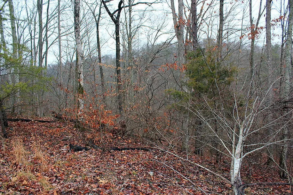 Lot 76 Sandstone Point Monticello KY 42633