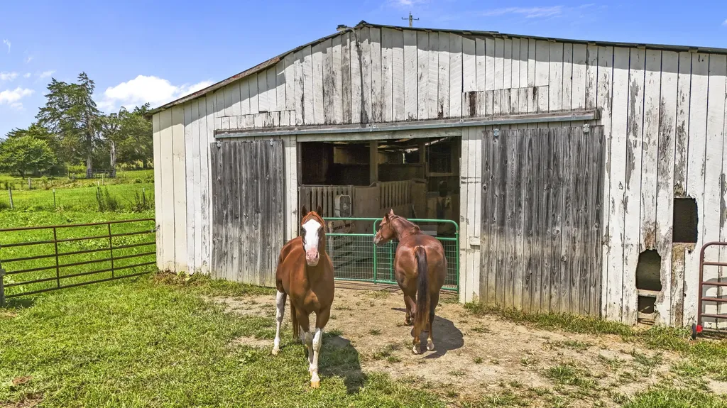 5119 Shoemaker Ridge Zoe KY 41397