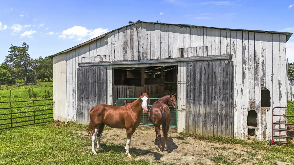 5119 Shoemaker Ridge Zoe KY 41397