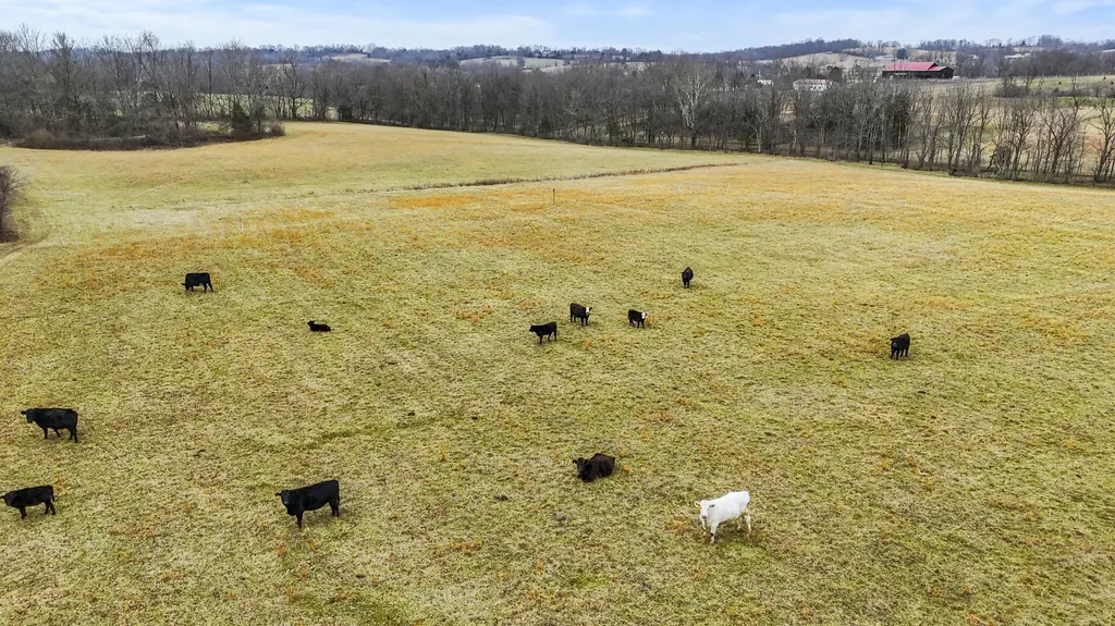 1346 Mundys Landing Road Versailles KY 40383