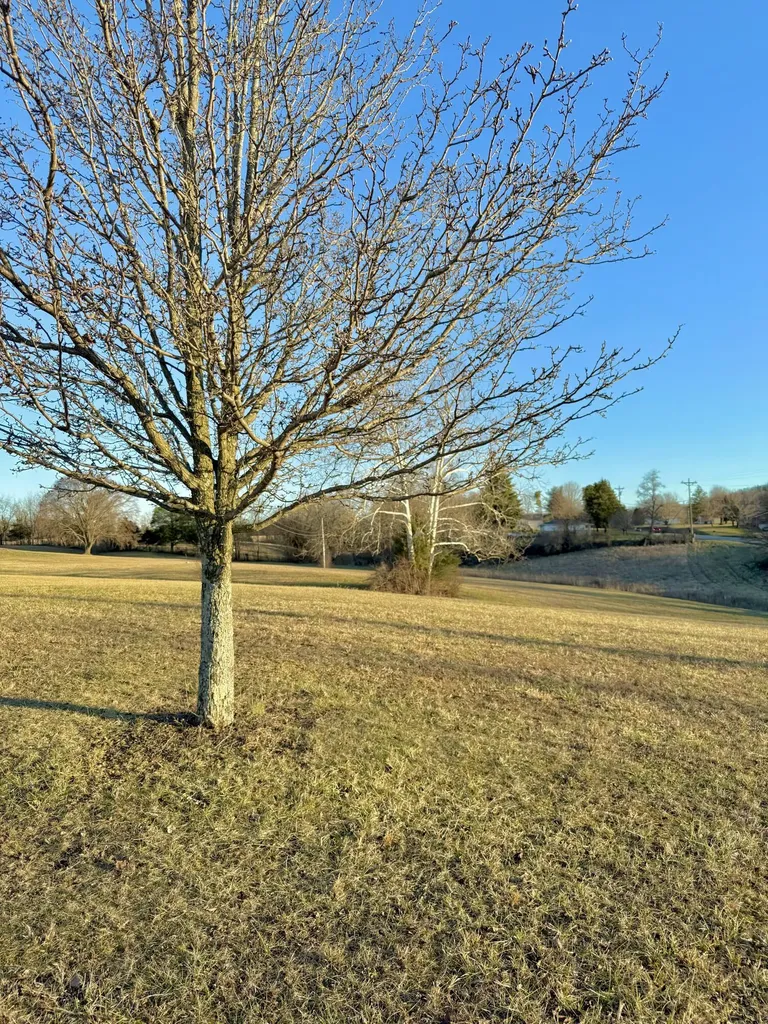 Lots 3 & 4 Us 27 Stanford KY 40484