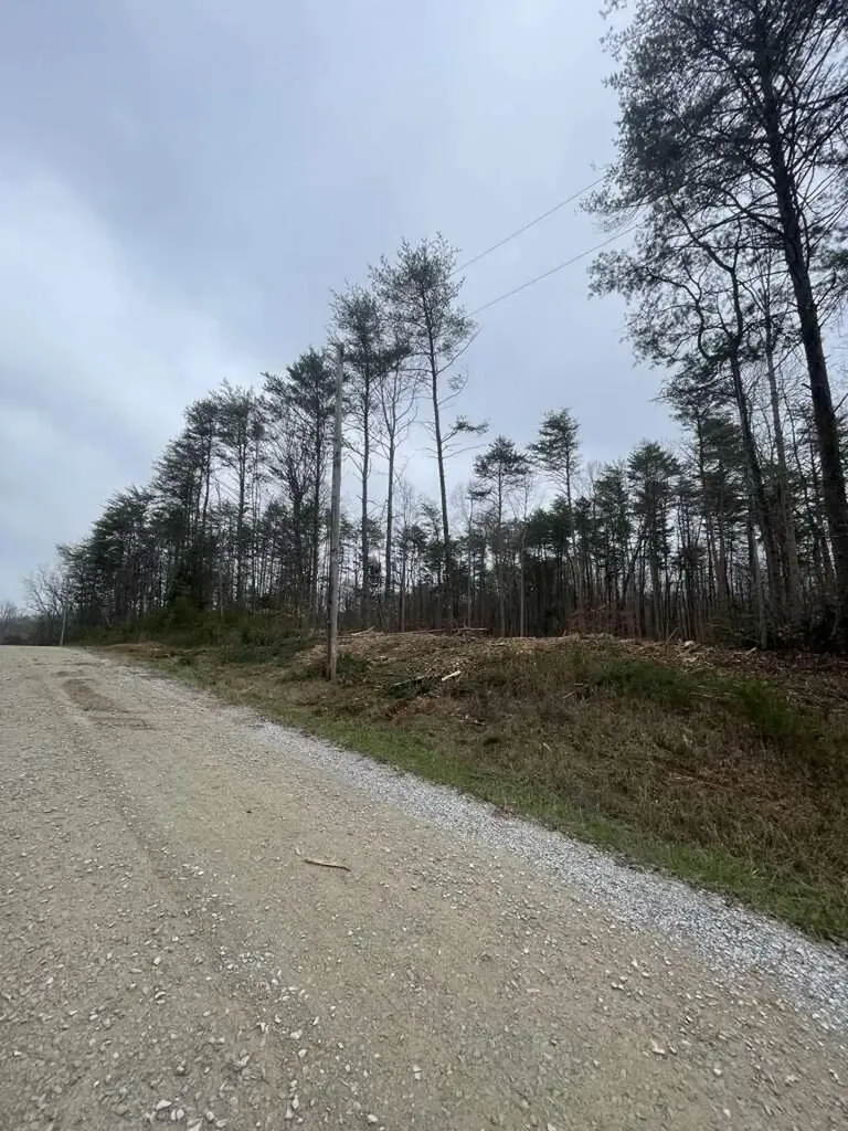 141 Pine Tree Circle Nancy KY 42544