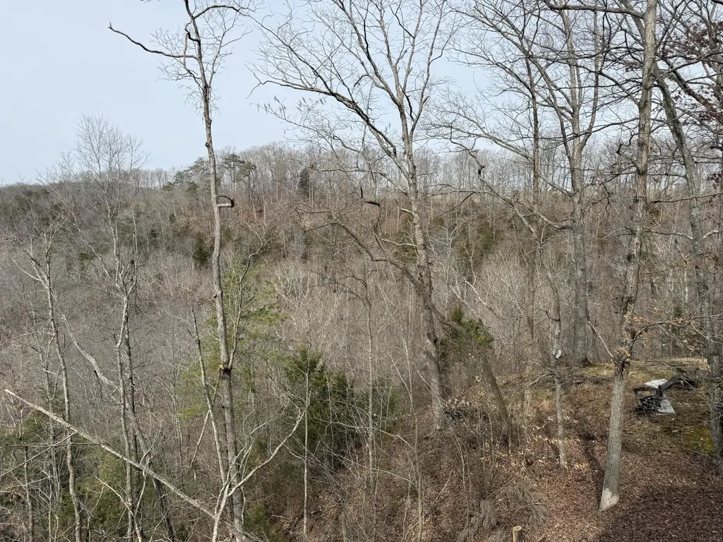 176 The Village Drive Nancy KY 42544