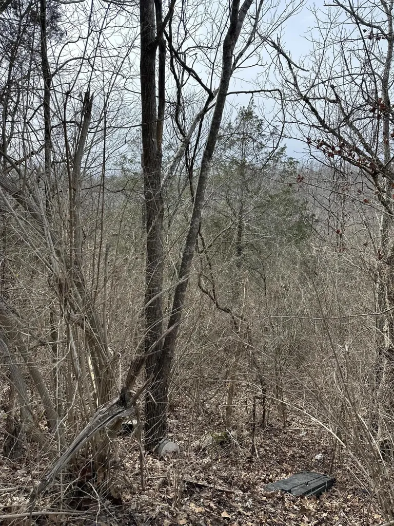 0000 Lock 8 Road Nicholasville KY 40356