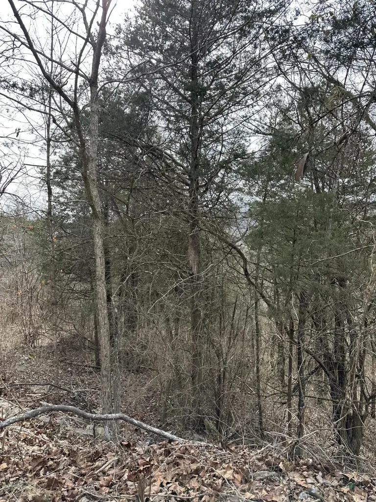 0000 Lock 8 Road Nicholasville KY 40356