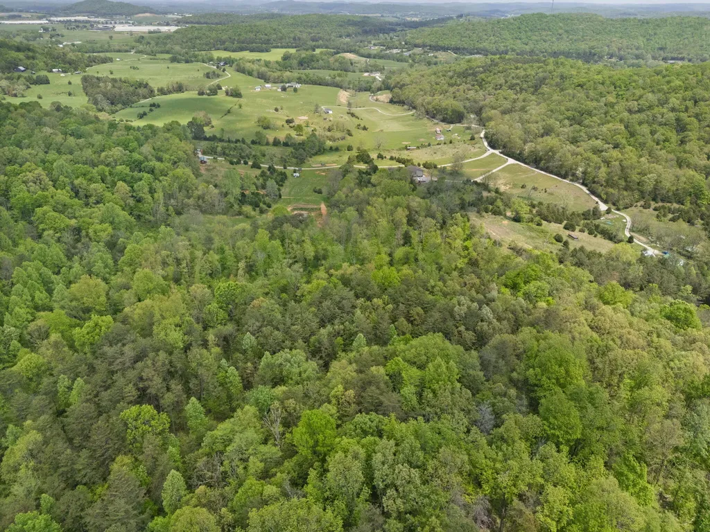 1371 Herrin Lane Somerset KY 42503