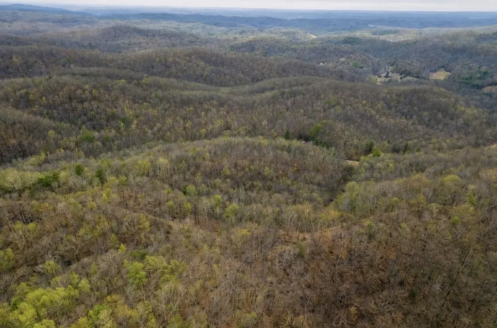 0000 Camp Branch Road Hazel Green KY 41332