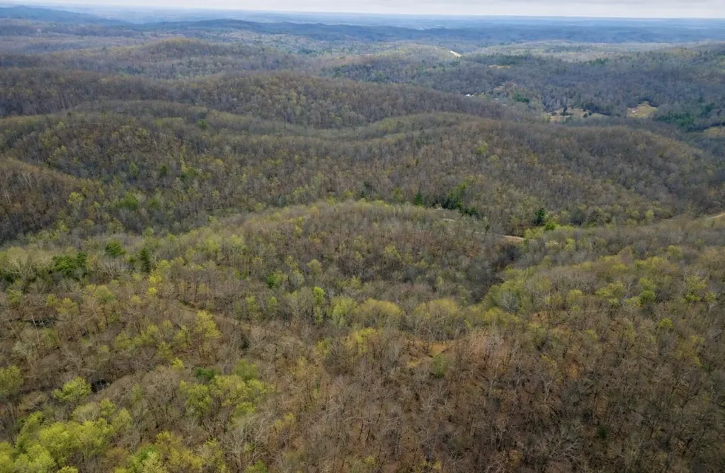 0000 Camp Branch Road Hazel Green KY 41332