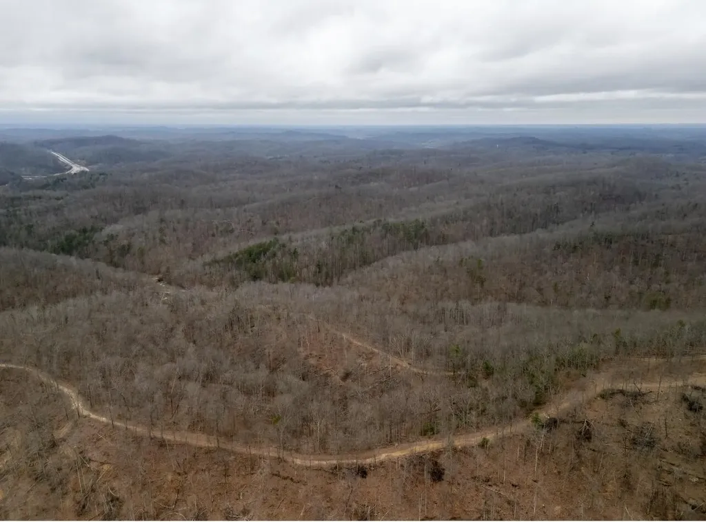 0000 Camp Branch Road Hazel Green KY 41332