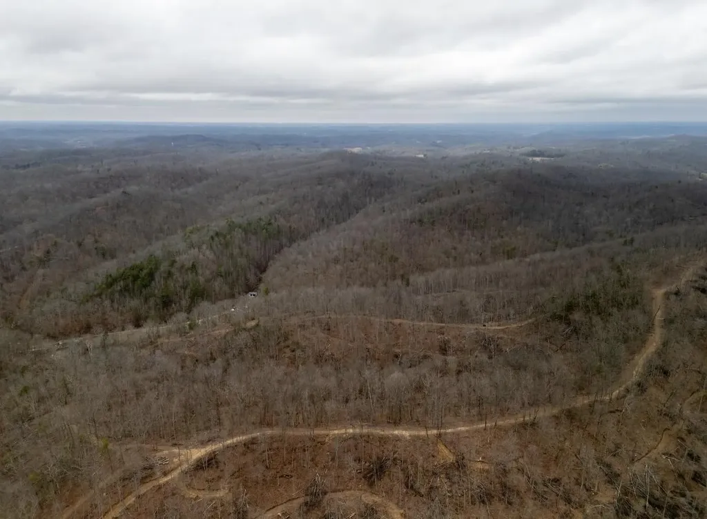 0000 Camp Branch Road Hazel Green KY 41332