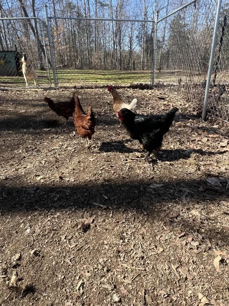 215 Old Log Lick Road Winchester KY 40391