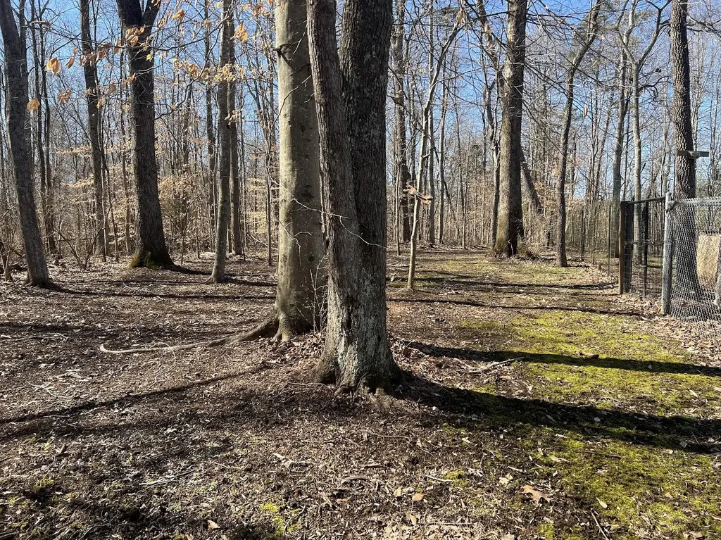 215 Old Log Lick Road Winchester KY 40391