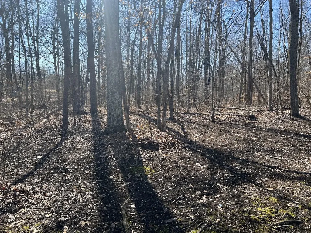 215 Old Log Lick Road Winchester KY 40391