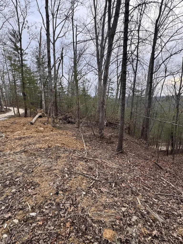 131 High Ridge Road Campton KY 41301