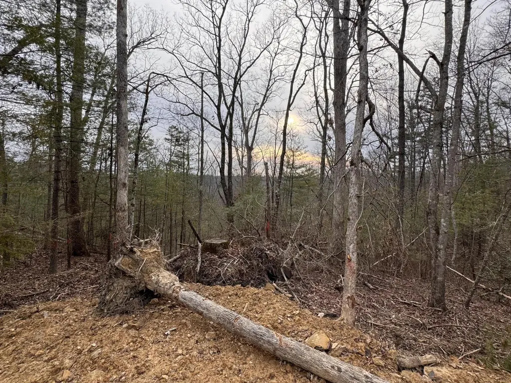 131 High Ridge Road Campton KY 41301