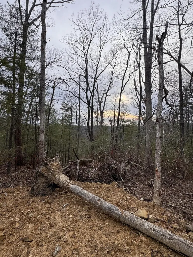 131 High Ridge Road Campton KY 41301