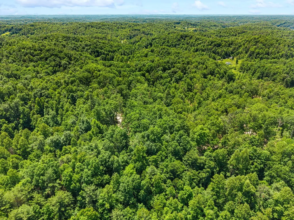 131 High Ridge Road Campton KY 41301