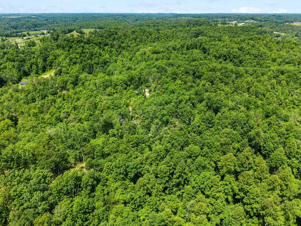 131 High Ridge Road Campton KY 41301